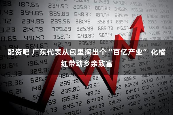 配资吧 广东代表从包里掏出个“百亿产业” 化橘红带动乡亲致富